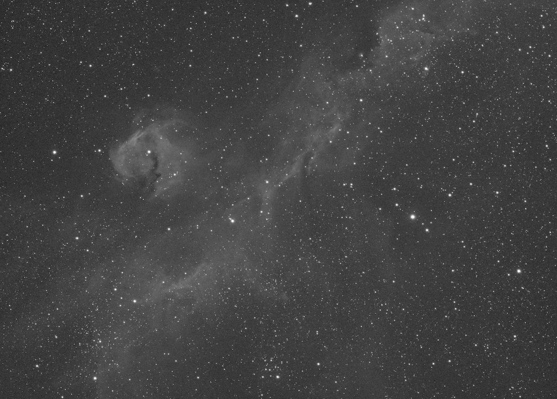 Nebula Photos - IC2177, Parrot / Seagull Nebula
